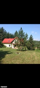 Ludwików, Gąbin, płocki, mazowieckie