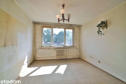 Mieszkanie 38m²✮3 pokoje✮Piwnica✮Wysoki Parter✮Pełna Własność