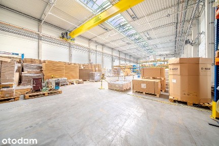 Kłobuck, ul.Długosza | Hala Magazynowo-Produkcyjna
