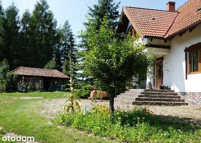 Własność