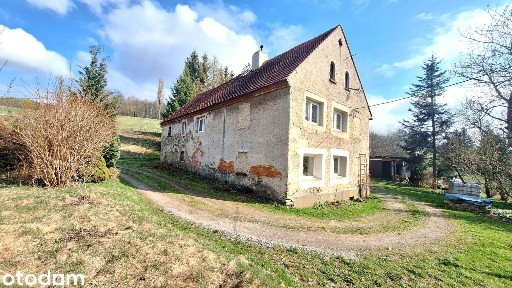 Dom z mieszkaniem, duża działka, tereny zielone