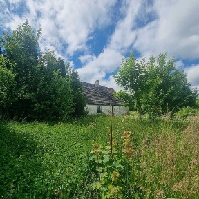 Dom w miejscowości Darżewo 9 powiat lęborski województwo Pomorskie OKAZJA