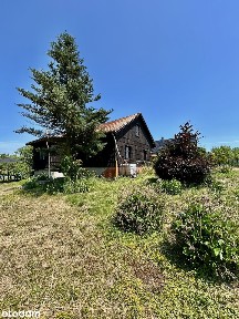 Dom z potencjałem inwestycyjnym |5800 m² działki| Kończyce Małe