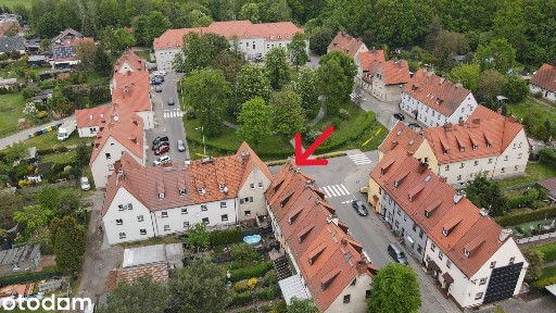 ul. Orchidei, Wilcze Gardło, Gliwice, śląskie