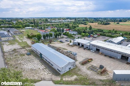 Na sprzedaż hala produkcyjna z placem manewrowym Mogilno