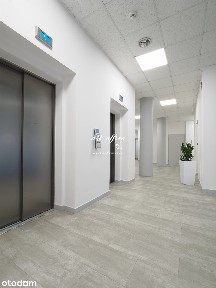 Lokal na wynajem, Wrocław
