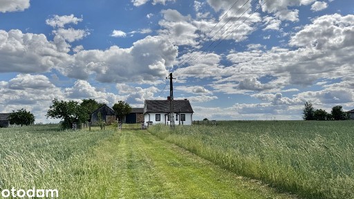 Siedlisko dom, stodoła, obora + ziemia rolna 1,92 ha