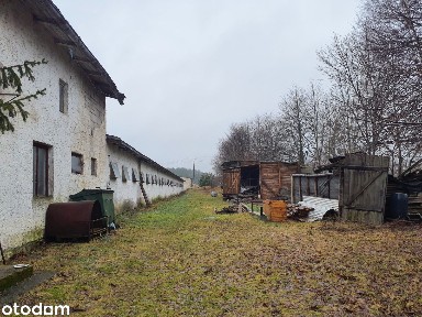Kurniki i budynki pomocnicze LICYTACJA