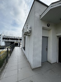 lokal na wynajem