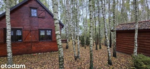 Sprzedam urokliwy drewniany domek letnisk.taras.garaż,Tągowie, Kaszuby