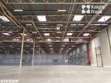 Magazyn na wynajem przy A8 we Wrocławiu/4000 m2