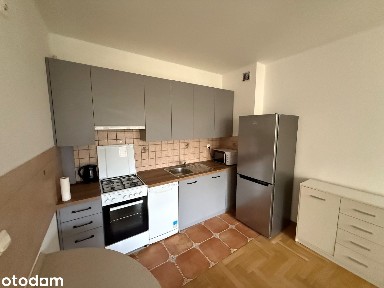 Mieszkanie 2 pokojowe do wynajęcia po remoncie