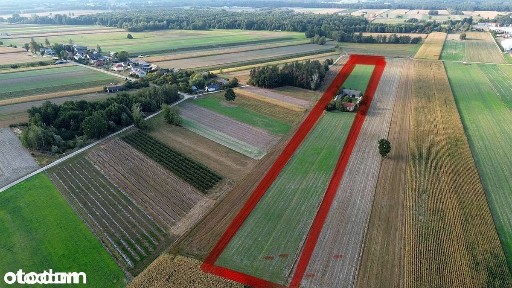 Sprzedam gospodarstwo w Strzakłach. Dom, zabudowania, pola, łąki, lasy
