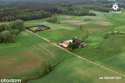 Siedlisko w sąsiedztwie lasów 17 km od Włocławka, dom 100m2