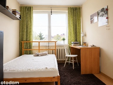 Trzy pokoje, niezależna kuchnia, od września.