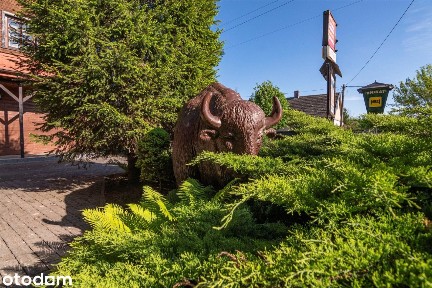 Białowieża, hajnowski, podlaskie