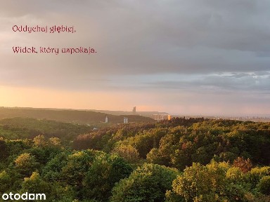 Panorama Gdańska I Zatoki | CO ZA Widok!