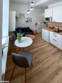 Bezpośrednio | Nowe 2 pokoje | od wrzesnia | Poznań Jeżyce, ul. Szamarzewskiego