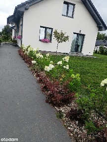 Dom przy lesie Cieciorka