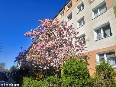 Kompletnie wyremontowane 2 pokoje | Pomorzany | Balkon | 45,28 m²