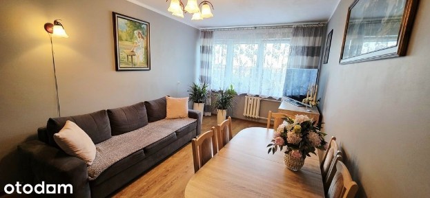 Piękne mieszkanie w centrum Polic
