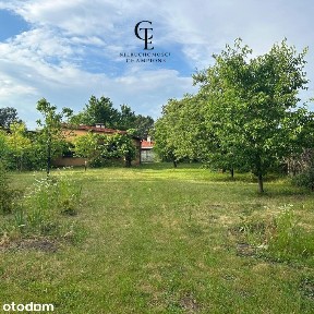 Dom 110 m² | 11 arów | centrum Niska | możliwość podziału działki