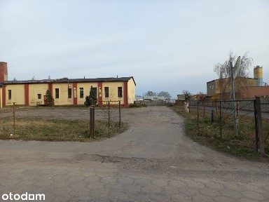 Kamień Pomorski, kamieński, zachodniopomorskie