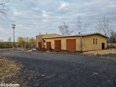 Teren inwestycyjny - 5,5 ha - z budynkami - Żabno powiat śremski