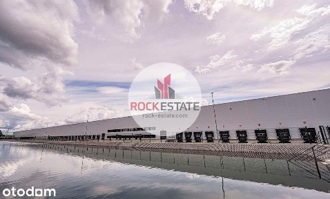 Nowobudowany magazyn 1430 m2 wynajem - 0% prowizji