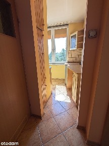 Przytulne, słoneczne, 2-pokojowe mieszkanie w bloku na Osadzie Jana