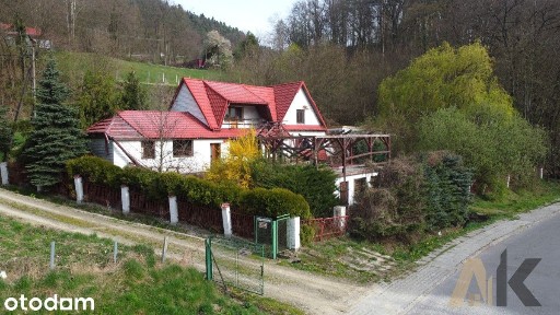 NA Sprzedaż Inwestycja Dla Ciebie - Wytrzyszczka!