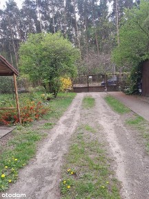 ul. Szeroka, Zielona-Grzybowa, Wesoła, Warszawa, mazowieckie