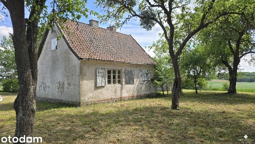 Siedlisko bez sąsiadów | 4400 m² prywatności | Stary sad i wędzarnia |
