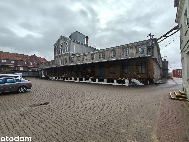 Szczecińska Fabryka Wódki jako przedsiębiorstwo