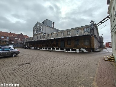 Szczecińska Fabryka Wódki jako przedsiębiorstwo