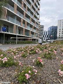 Sprzedaż mieszkania - Przy Bonarce | 36,67 m² + ogródek 22,37 m² |