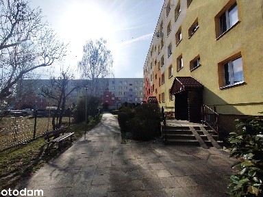 CENA OSTATECZNA! Mieszkanie w centrum Krosno Odrzańskie