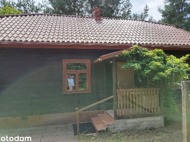 Oaza spokoju pod Warszawą - dom ze starodrzewu na leśnej działce
