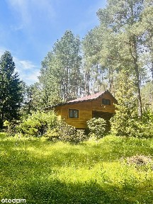 Domek letniskowy z bala, odremontowany, działka 2700, las