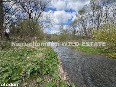 Dom, 55 m², Olszanica