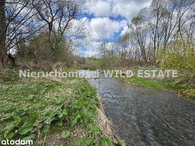 Dom, 55 m², Olszanica