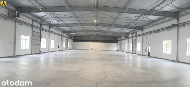 Hala/Magazyn, 1 370 m², Toruń