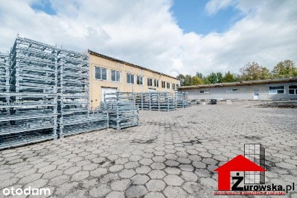 Hale na wynajem już od 11 zł/1m2