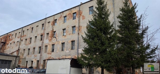 Lokal użytkowy, 2 470,80 m², Pieszyce
