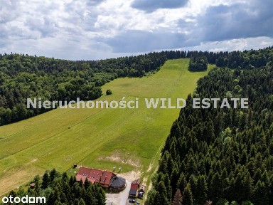 Lokal użytkowy, 928,02 m², Lesko