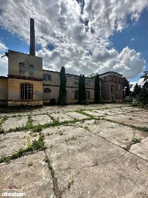 Lokal użytkowy, 3 459,85 m², Grudziądz