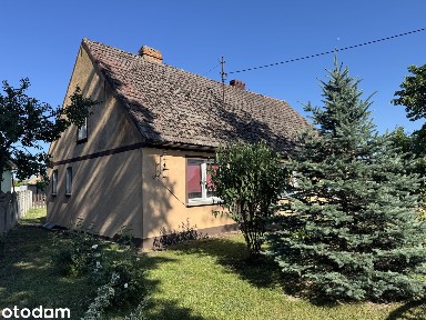 Siedlisko z dużym gruntem 1,6841 ha przy DW 450