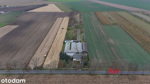 Dom/duża działka/wiele możliwości