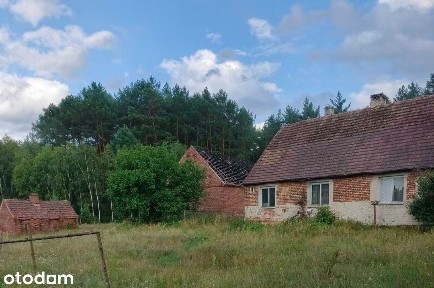 Proszów, Brody, żarski, lubuskie