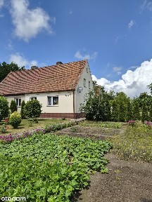 Borowina, Szprotawa, żagański, lubuskie